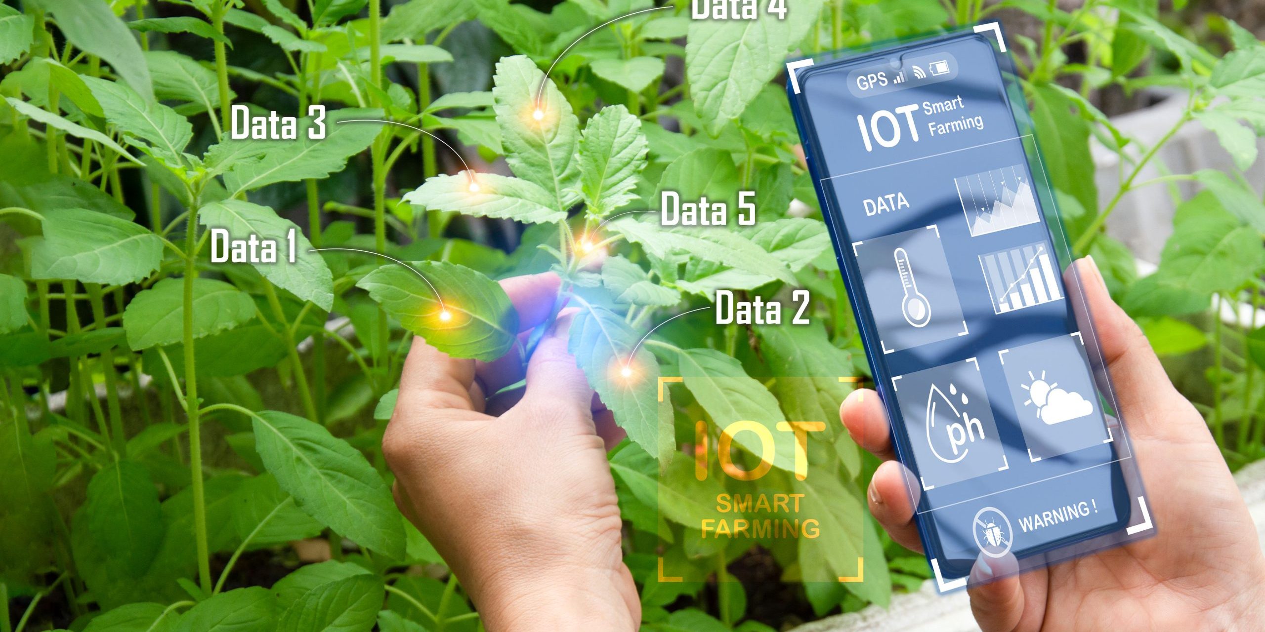 Transforming Agriculture: The Synergy of AI and Technology in Farming ...